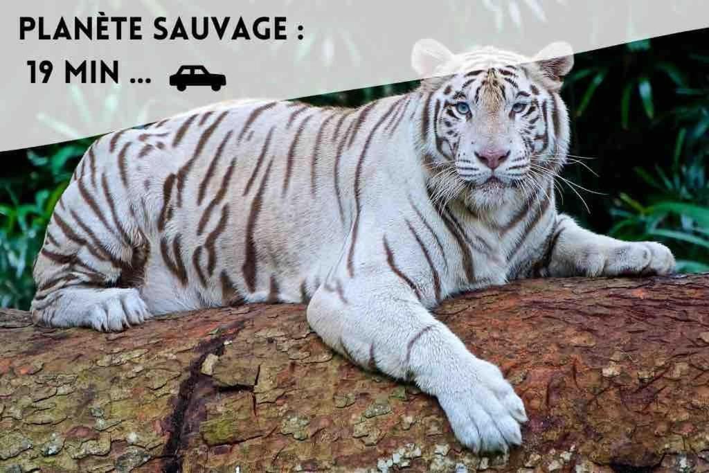Le Dolce Appartamento Bouguenais Esterno foto